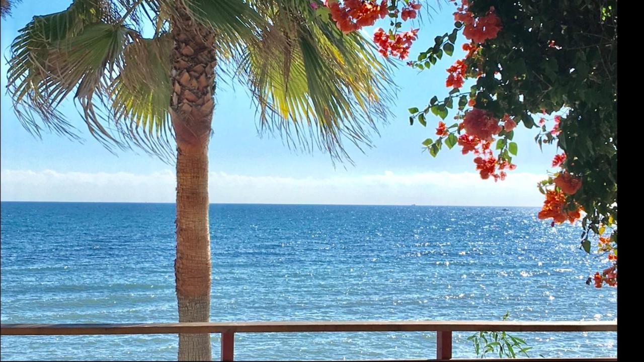 Mi Capricho B17 Beachfront Apartment Sitio de Calahonda Bagian luar foto